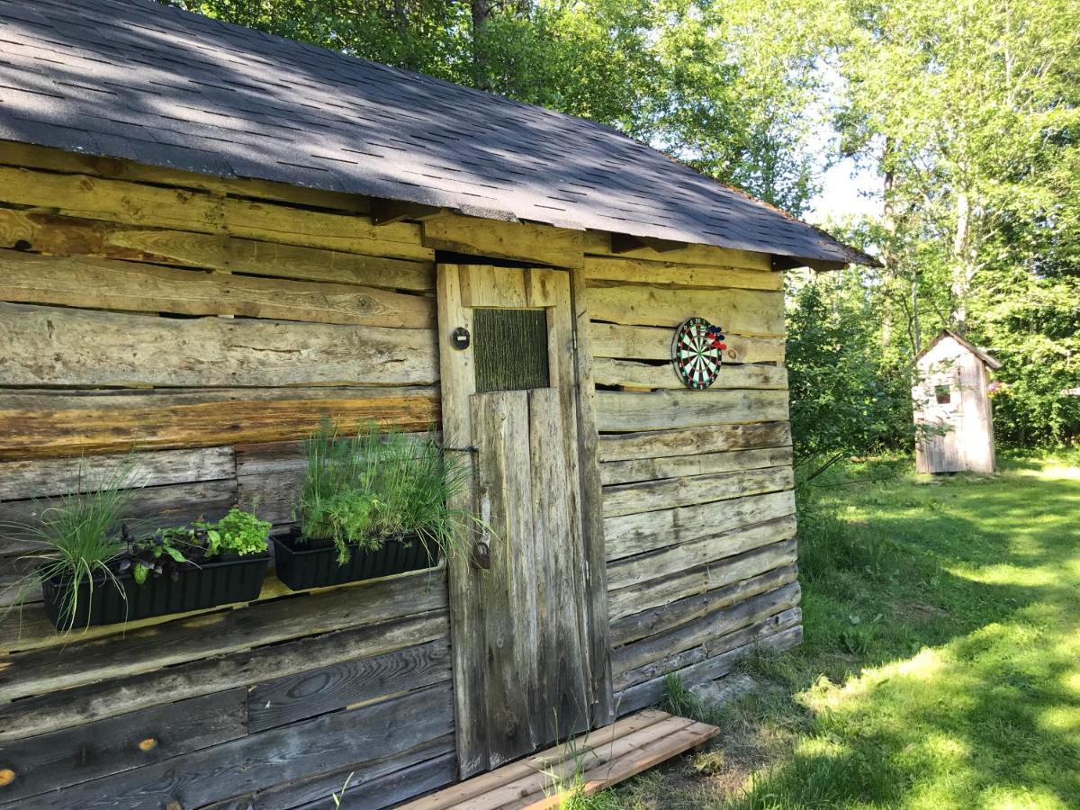 Haaviku Nature Cottage Tepelvalja Exterior photo